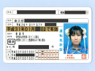 Illustration for article titled Japanese Woman Got a Driver's License Dressed as Chun-Li